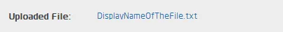 AdvanceFilesManagement2