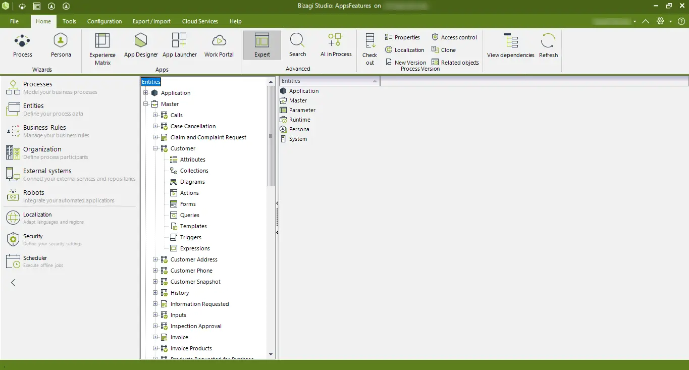 BizagiStudio15