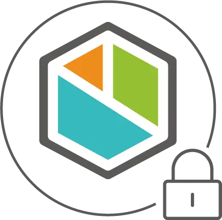 BSSecurity1