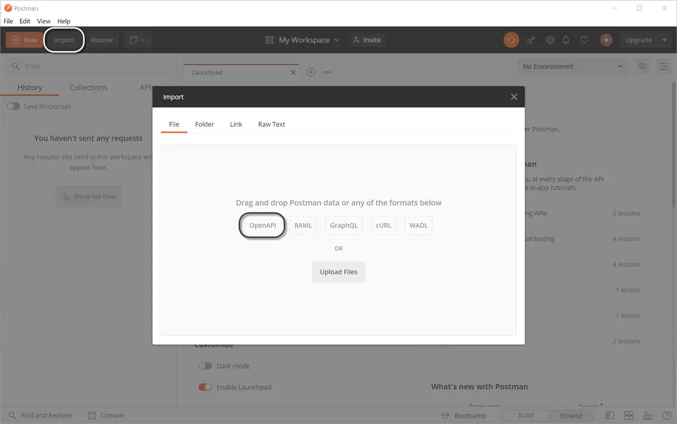 OpenAPI_01